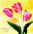 XFranken Tulip.jpg